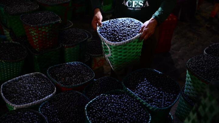 The craze for an acai bowl topped with granola shone a light on biopiracy, the use of a  country's genetic resources without sharing benefits with the communities who learned how to harvest and proces