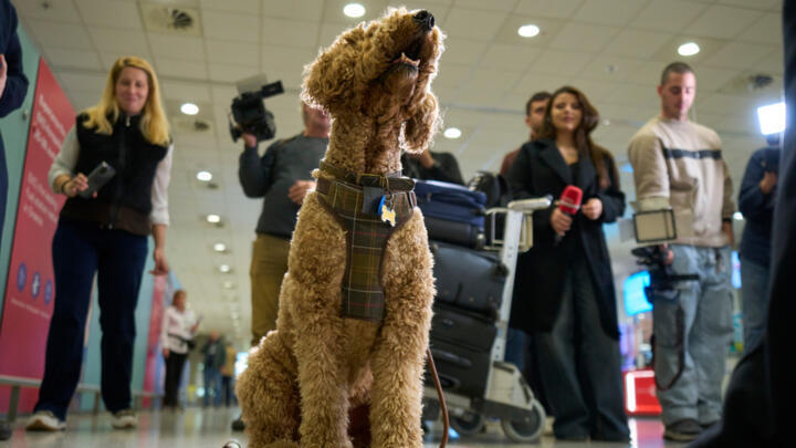 A dog stands in Athens International Airport Eleftherios Venizelos after being evacuated from Abu Dhabi on Wednesday, March 18, 2026