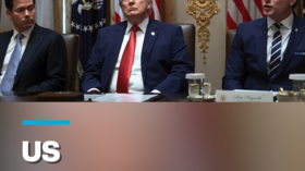 Vignette Trump